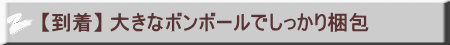 【色】 白・桃・紅白 から お選びください 
